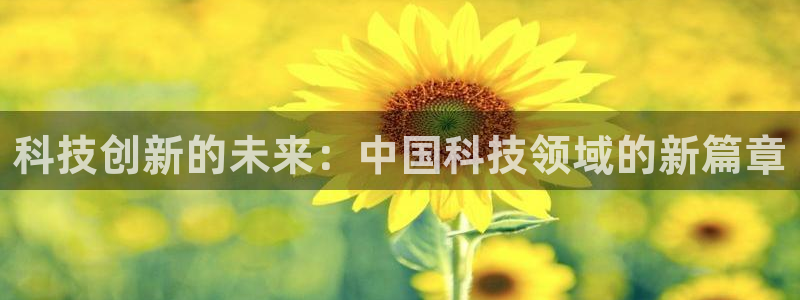 科技创新的未来：中国科技领域的新篇章
