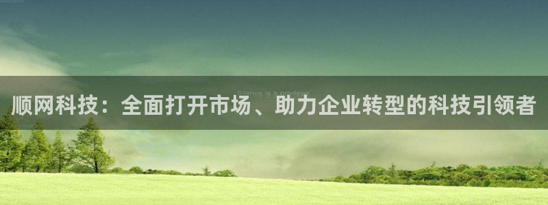 顺网科技：全面打开市场、助力企业转型的科技引领者