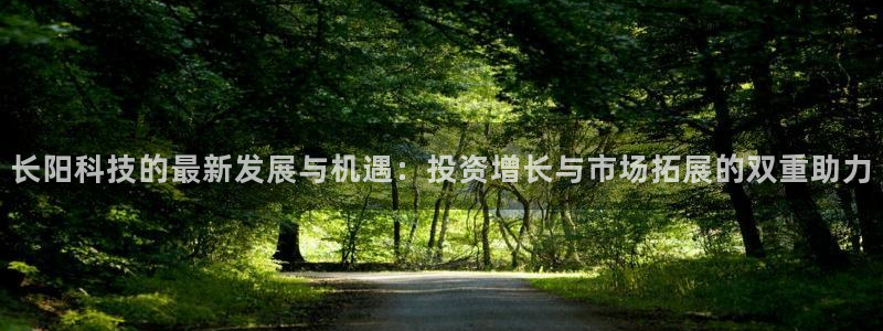 长阳科技的最新发展与机遇：投资增长与市场拓展的双重助力