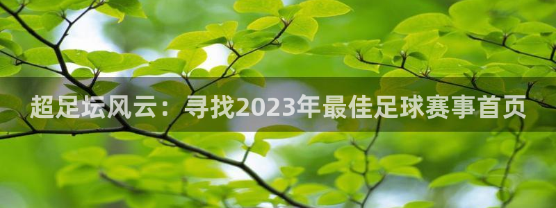 超足坛风云：寻找2023年最佳足球赛事首页