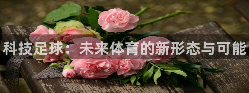 科技足球：未来体育的新形态与可能