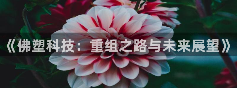 《佛塑科技：重组之路与未来展望》