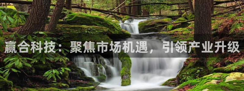 赢合科技：聚焦市场机遇，引领产业升级