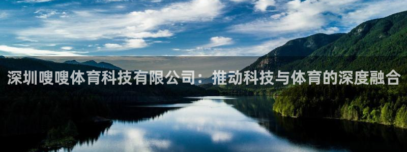 深圳嗖嗖体育科技有限公司：推动科技与体育的深度融合