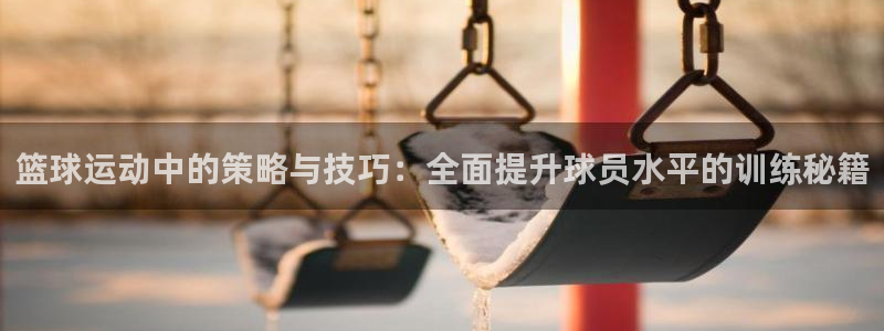 篮球运动中的策略与技巧：全面提升球员水平的训练秘籍