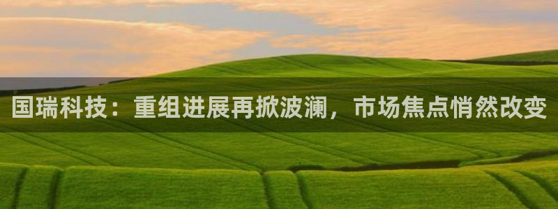 国瑞科技：重组进展再掀波澜，市场焦点悄然改变