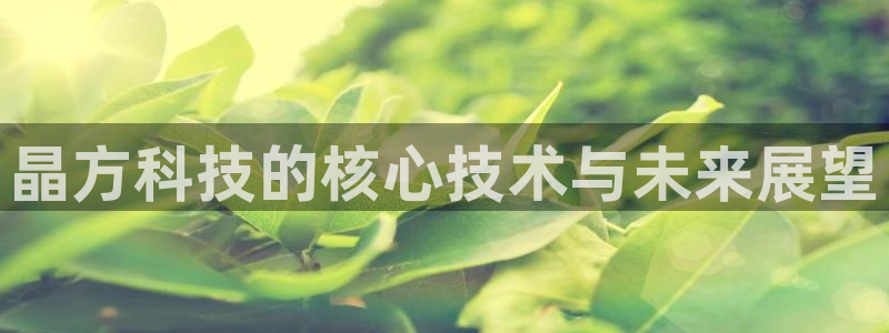 晶方科技的核心技术与未来展望
