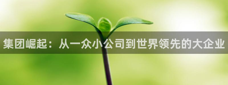 集团崛起：从一众小公司到世界领先的大企业