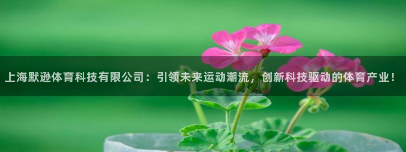 上海默逊体育科技有限公司：引领未来运动潮流，创新科技驱动的体育产业！