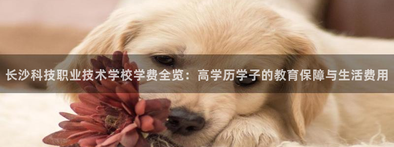 长沙科技职业技术学校学费全览：高学历学子的教育保障与生活费用
