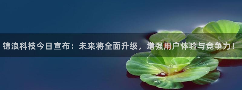 锦浪科技今日宣布：未来将全面升级，增强用户体验与竞争力！