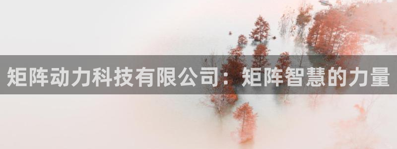 矩阵动力科技有限公司：矩阵智慧的力量