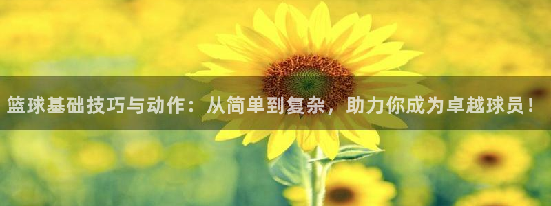 篮球基础技巧与动作：从简单到复杂，助力你成为卓越球员！
