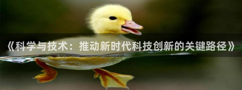 《科学与技术：推动新时代科技创新的关键路径》