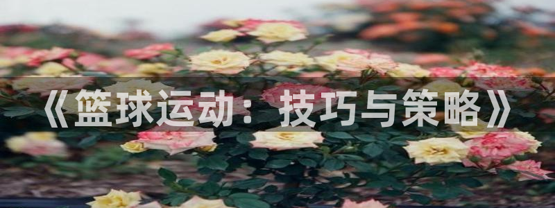 《篮球运动：技巧与策略》