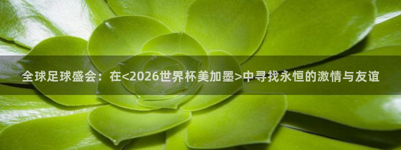 全球足球盛会：在<2026世界杯美加墨>中寻找永恒的激情与友谊