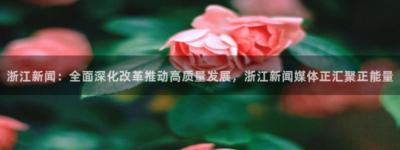 浙江新闻：全面深化改革推动高质量发展，浙江新闻媒体正汇聚正能量