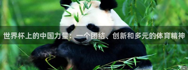 世界杯上的中国力量：一个团结、创新和多元的体育精神
