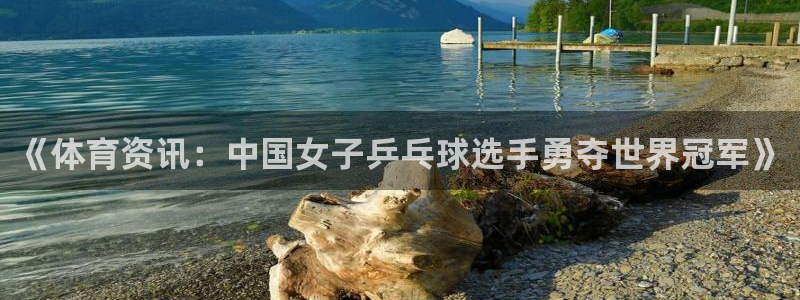 《体育资讯：中国女子乒乓球选手勇夺世界冠军》