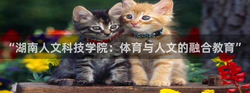 “湖南人文科技学院：体育与人文的融合教育”
